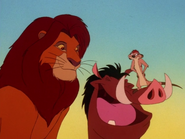 COLT Timon Pumbaa & Simba10