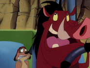 HIWTHI Timon & Pumbaa61