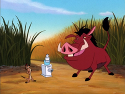 KBMF Timon & Pumbaa23