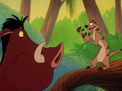 NE Timon & Pumbaa17