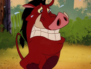 SSS Pumbaa14