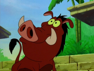 BJG Pumbaa33