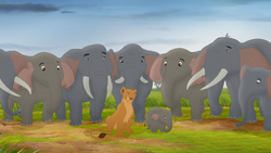 Nala mourns Aminifu alongside his herd.
