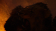 Lionking2019-animationscreencaps.com-12246