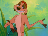 TZ Timon3