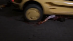 TBSM14.png (649 KB) Mitch Williams