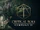 Critical Role Campaign Four