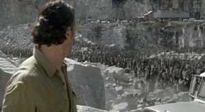 Quarry Walker Extermination