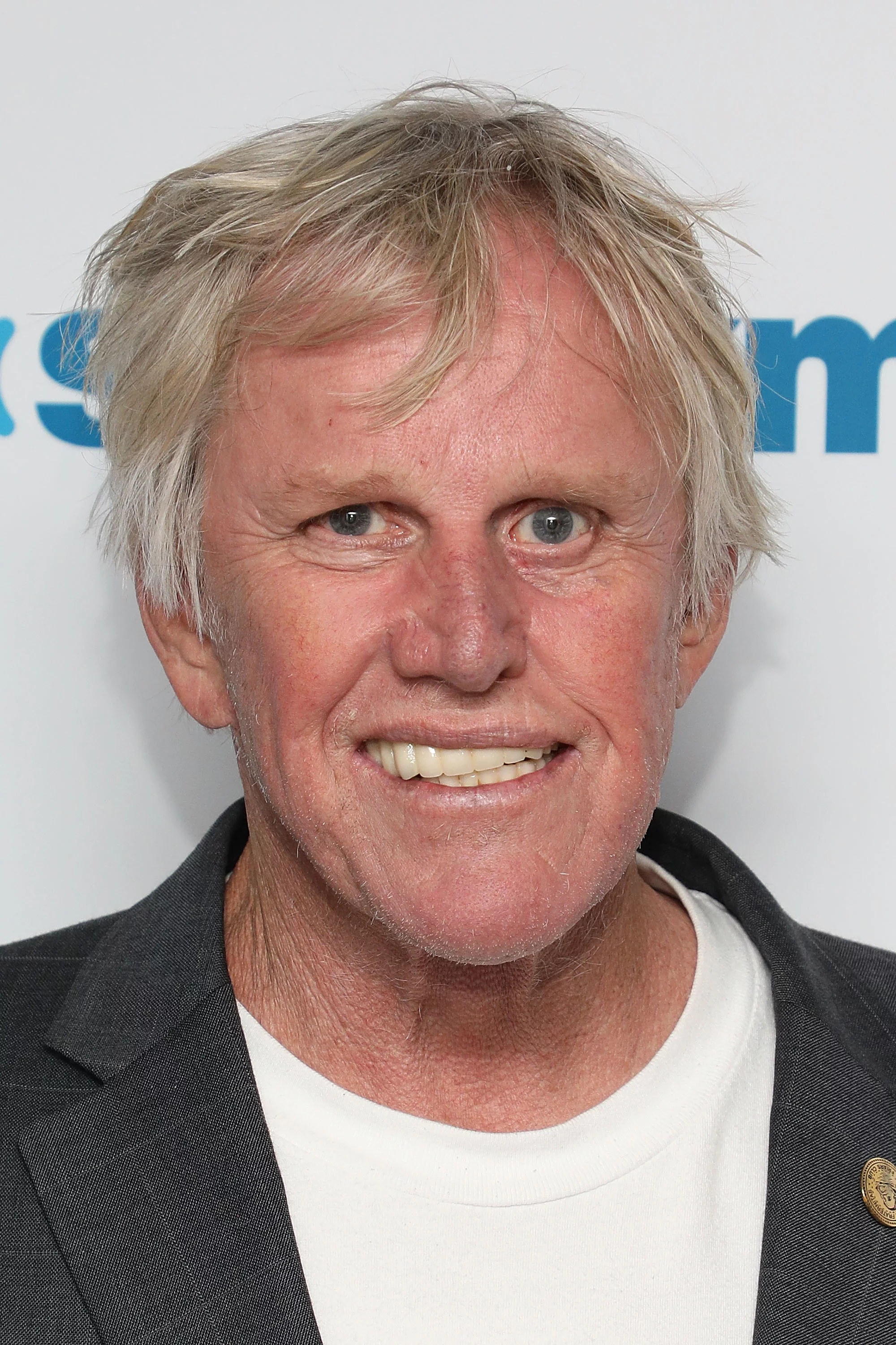 Gary Busey List of Deaths Wiki Fandom