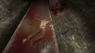Dead before he dropped.