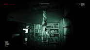Alcoved hanging body.