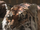 Shiva (Cinematic Universe)
