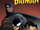 The Batman (TV Show)