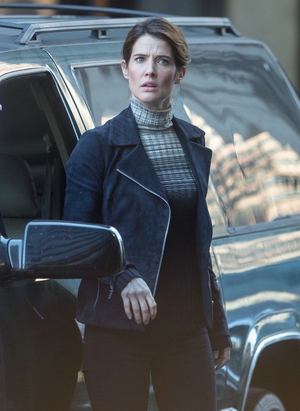 Maria Hill Profile