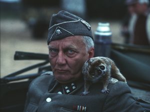 Walter Stein