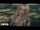 Avril Lavigne - When You're Gone