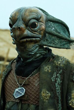 Sea Devils