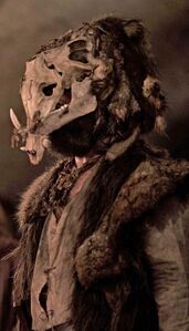 Cullen/Boar Skull
