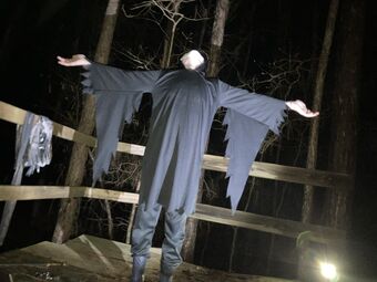 Occult
