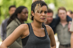 Arat (The Walking Dead)