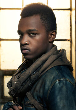 Mohamad(vanhelsing)