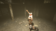 Post-decapitation.