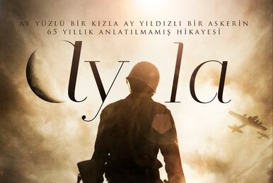 Ayla Internet Movie Plane Database Wiki Fandom