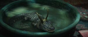 Alligator Loki