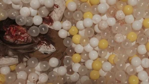 TBSM6.png (1.78 MB) Rebecca