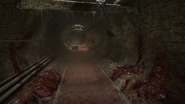 The tunnel with a river of blood.