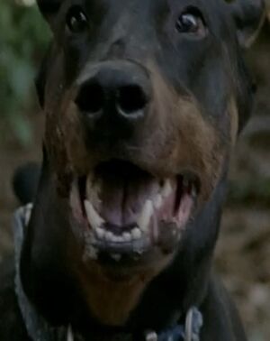 Duke (The Walking Dead)