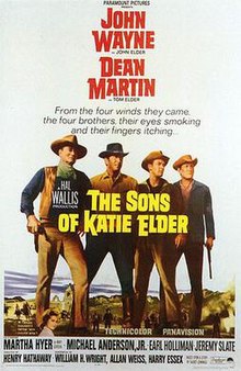 Sons of Katie Elder 1965