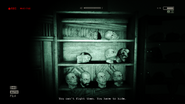 The last shelf has approximately nine heads.