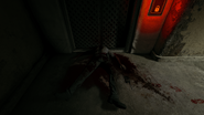 Doorway decapitation.