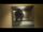 Dinosaurs in the backrooms (found footage)