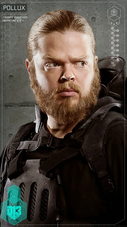 Pollux (The Hunger Games)