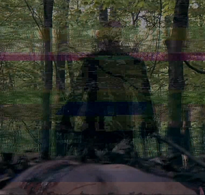 Theglitch