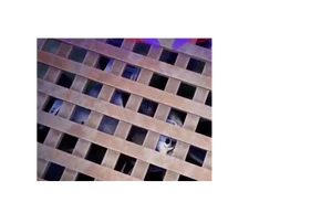 Grate S.T.A.F.F. Bot.