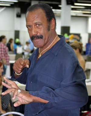 Fred williamson