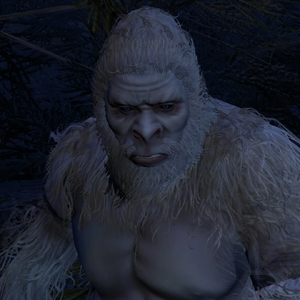 The Yeti