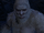 The Yeti