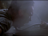 I Know What You Did Last Summer (Film Series)