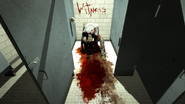 "The Witness".