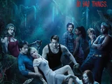 True Blood