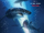 47 Meters Down (2017)