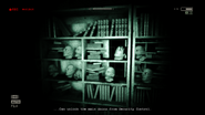 Front of the shelf with approximately nine heads.