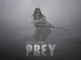 Prey