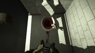 If I had a nickel for every arm in a toilet...
