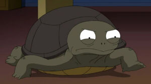 Sheldon (Family Guy)