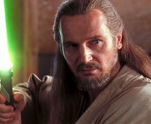 Qui-Goncloseup